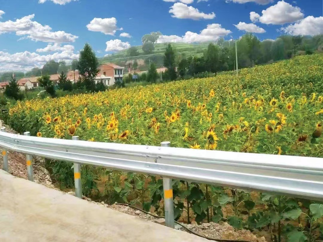 交通设施展|浅谈防撞护栏的意义是什么